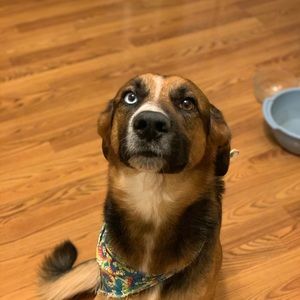 Meet your Posher, Daniel